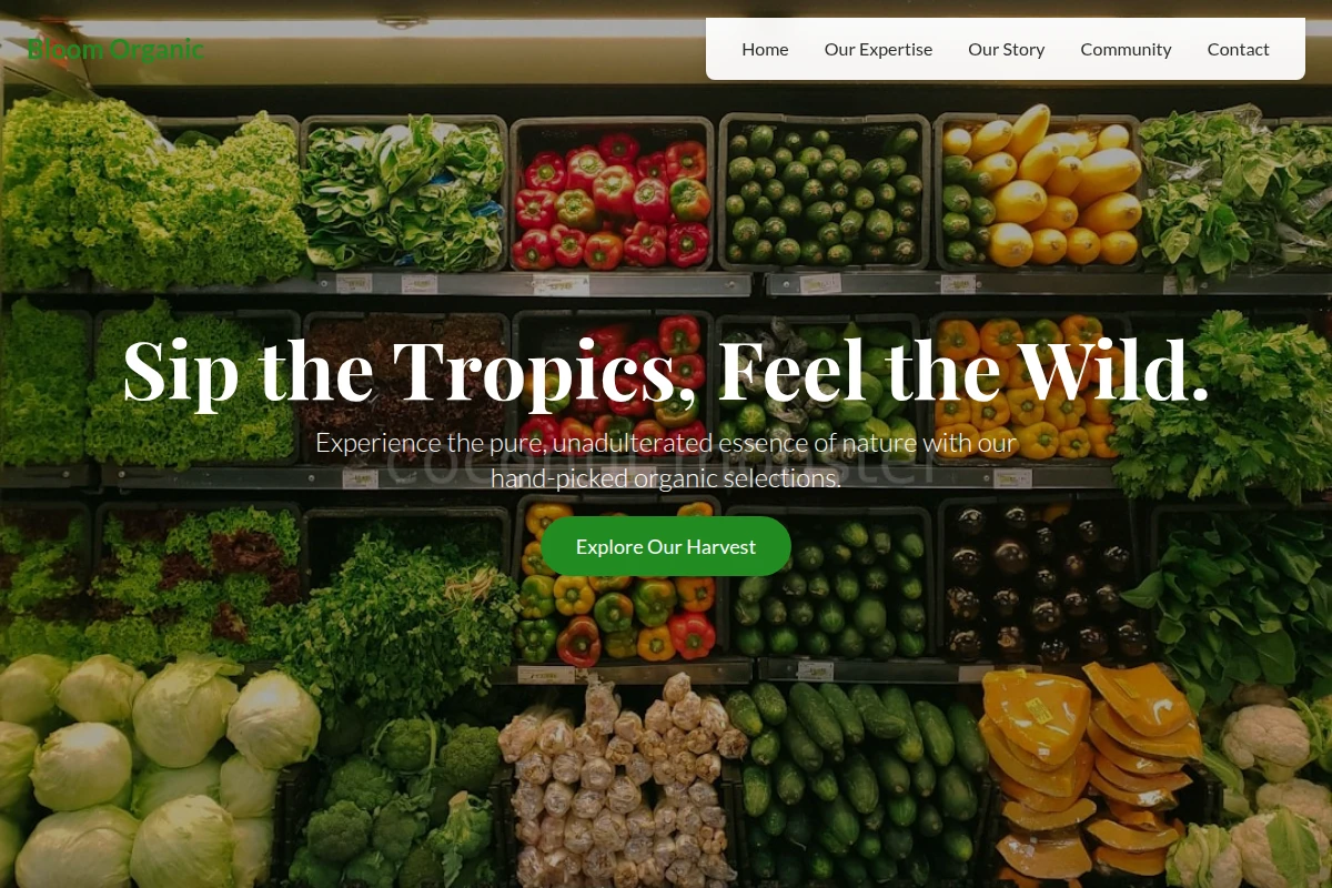 Bloom Organic Food